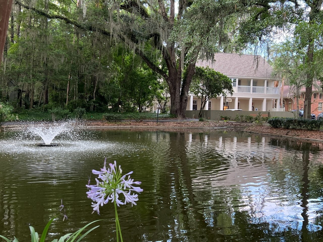 Haile Endodontics office and pond at Haile Village Center in Gainesville, Florida